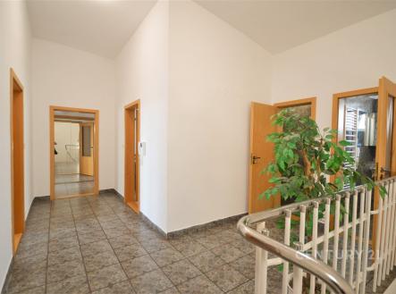 Pronájem bytu, jiný, 230 m²