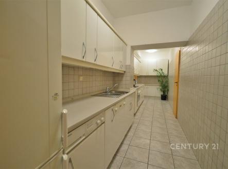 Pronájem bytu, jiný, 230 m²