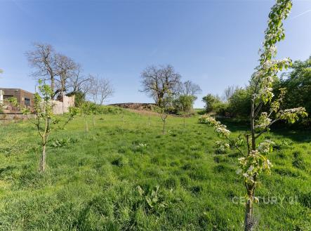 Prodej pozemku, zahrada, 697 m²