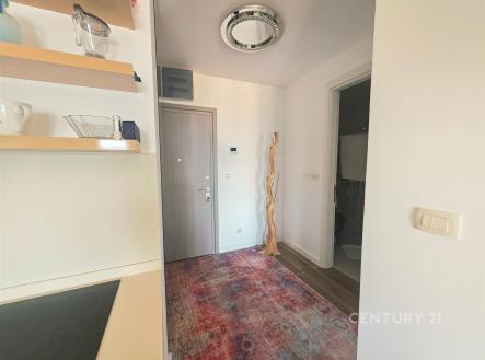 Vstupní hala s dřevěnou podlahou a moderním osvětlením, vedoucí do koupelny. Stylový interiér s uměleckým kobercem.