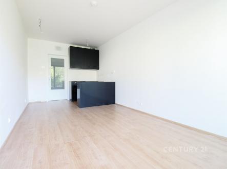 Pronájem bytu, 1+kk, 30 m²