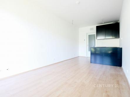 Pronájem bytu, 1+kk, 30 m²