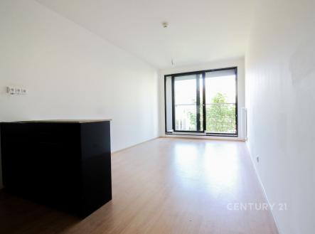 Pronájem bytu, 1+kk, 30 m²