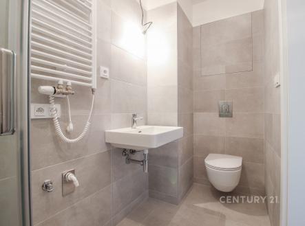 Pronájem bytu, 1+kk, 30 m²