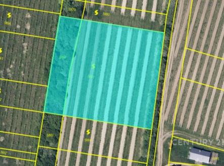Prodej pozemku, zemědělská půda, 10 997 m²