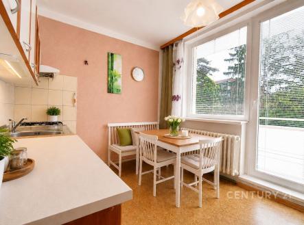 Prodej bytu, 1+1, 40 m²