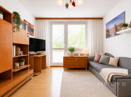 Prodej bytu, 1+1, 40 m²