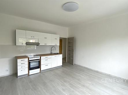 Pronájem bytu, 3+kk, 63 m²