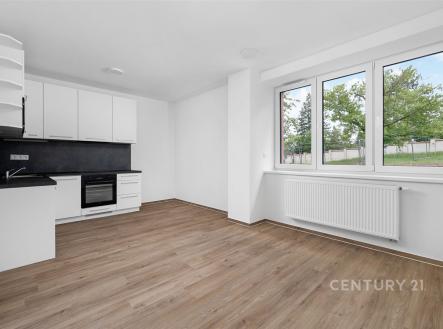 Pronájem bytu, 1+kk, 27 m²