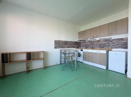 Pronájem bytu, 1+kk, 28 m²