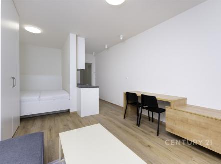 Prodej bytu, 1+kk, 33 m²