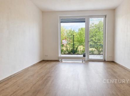 Pronájem bytu, 1+kk, 64 m²