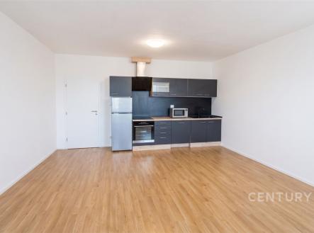 Prodej bytu, 2+kk, 58 m²