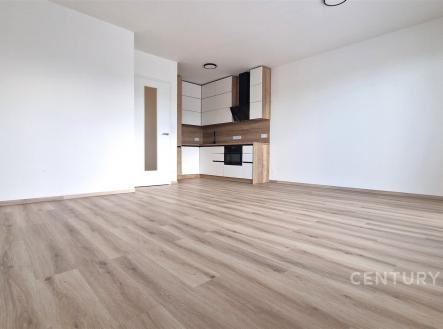 Pronájem bytu, 1+kk, 46 m²