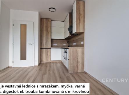 Pronájem bytu, 1+kk, 46 m²
