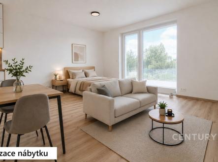 Pronájem bytu, 1+kk, 46 m²