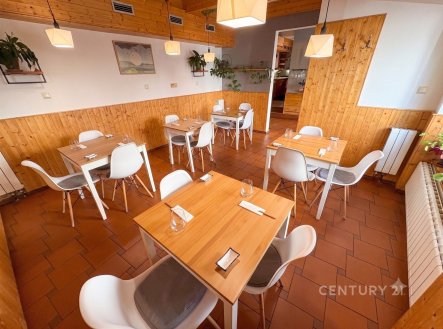 Prodej komerční jednotky 87 m² – Brno-Žabovřesky, ul. Marie Steyskalové