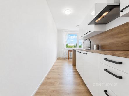Pronájem bytu, 1+1, 38 m²