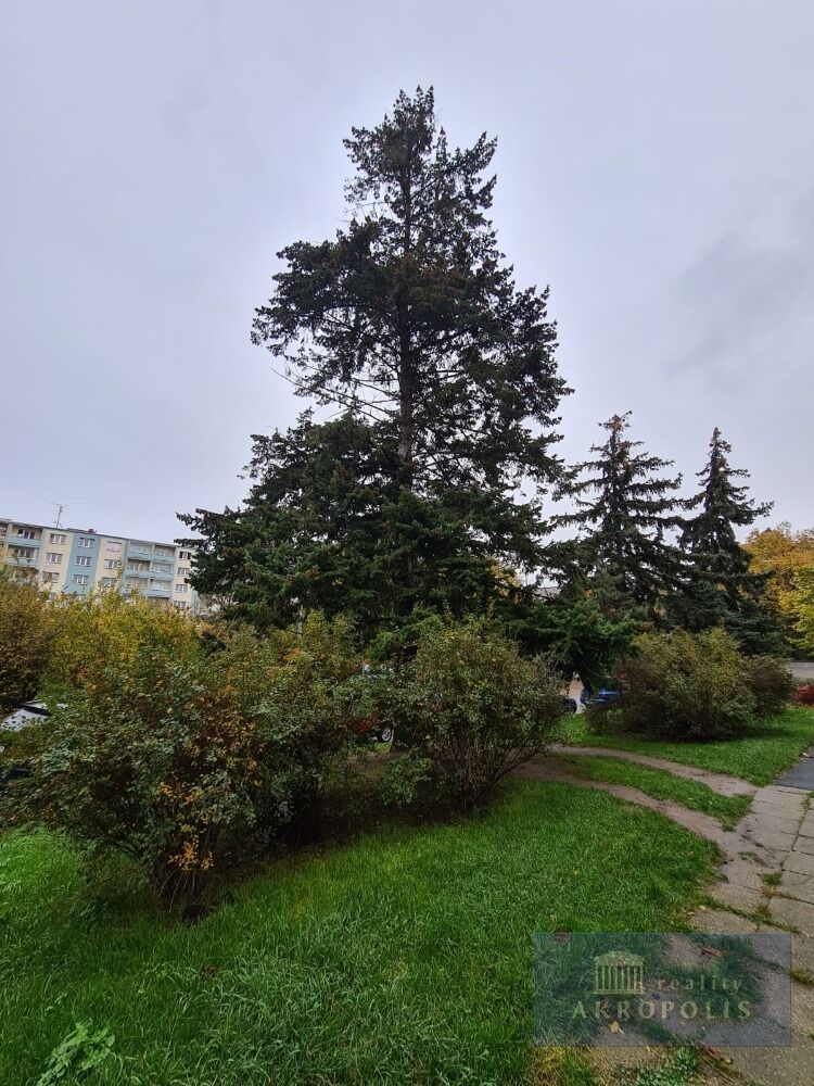 Fotku se nepodařilo načíst.