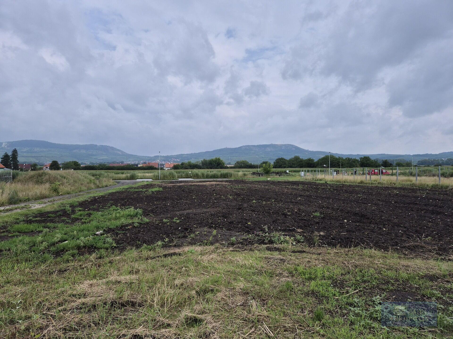 Stavební pozemek 631 m² s výhledem na Pálavu v klidné části Dolních Dunajovic