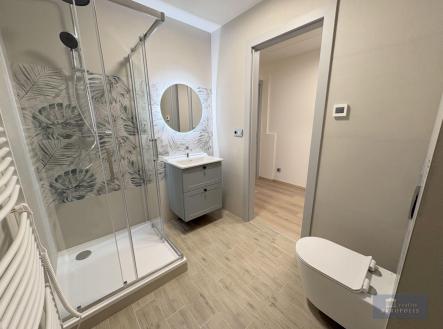 Pronájem bytu, 2+kk, 58 m²