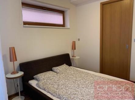 Pronájem bytu, 1+kk, 54 m²