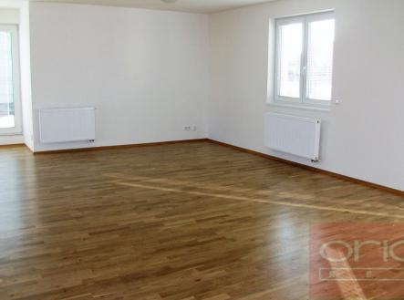 Pronájem - dům/vila, 350 m²