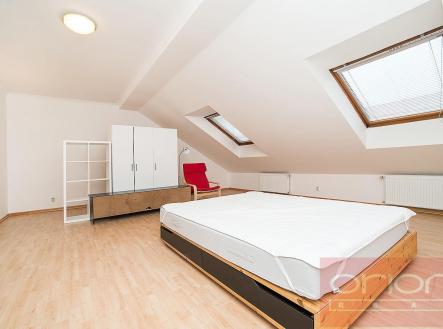 Pronájem bytu, 4+1, 205 m²