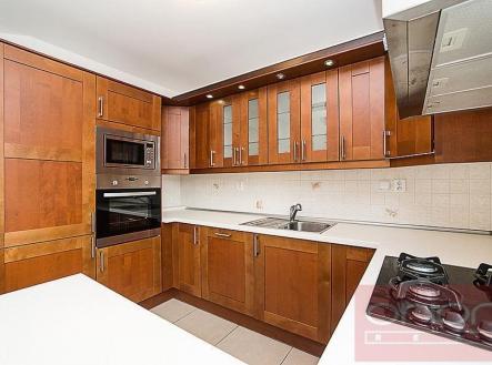 Pronájem domu/vily, 300 m²