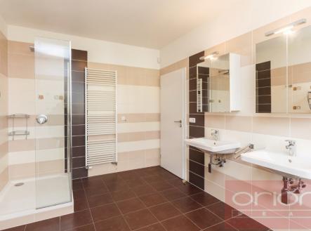 Pronájem domu/vily, 350 m²