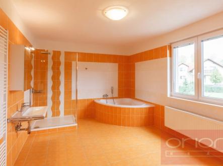 Pronájem domu/vily, 350 m²
