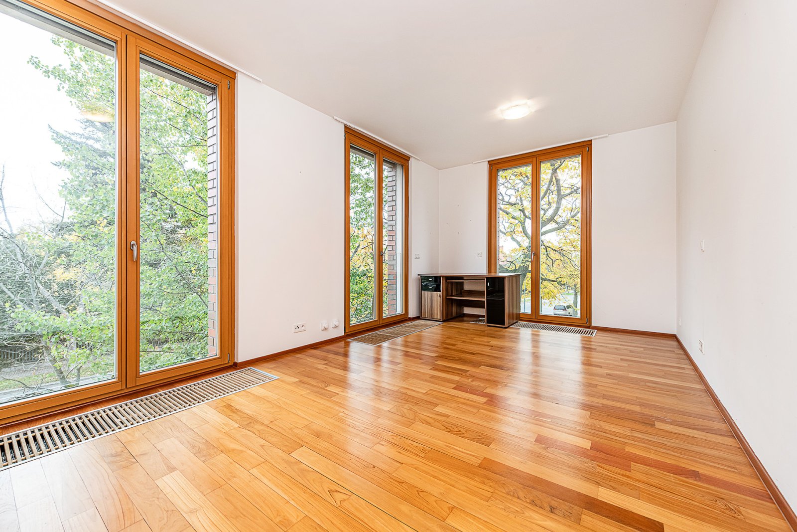 Fotku se nepodařilo načíst.