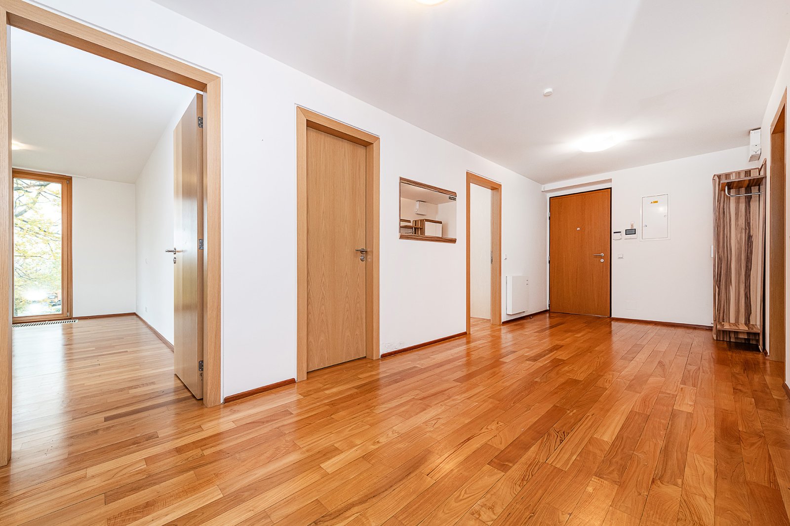 Fotku se nepodařilo načíst.