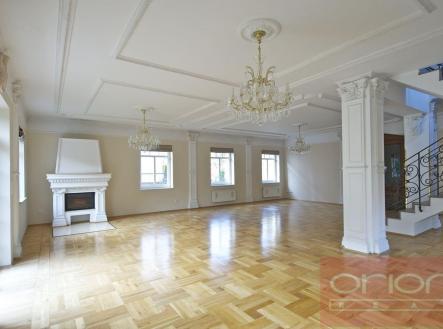 Pronájem - dům/vila, 338 m²