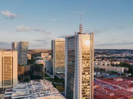 Pronájem kanceláře, 25 m²