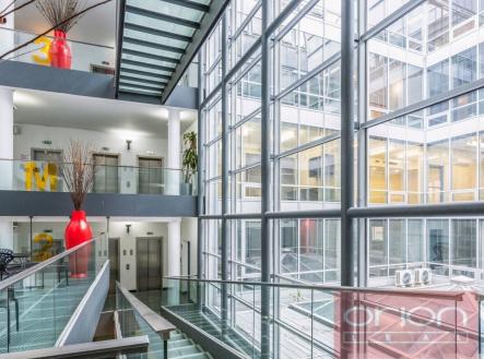 Pronájem kanceláře, 300 m²