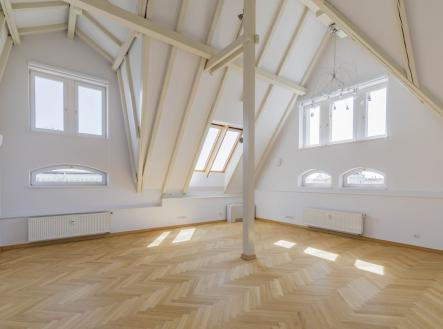 Pronájem bytu, 5+1, 286 m²