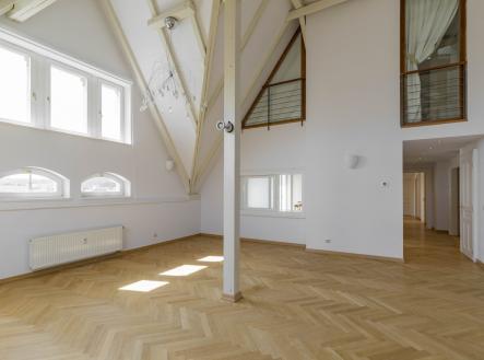 Pronájem bytu, 5+1, 286 m²