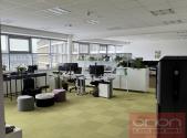 Pronájem kanceláře, 303 m²