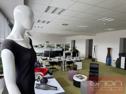 Pronájem kanceláře, 303 m²