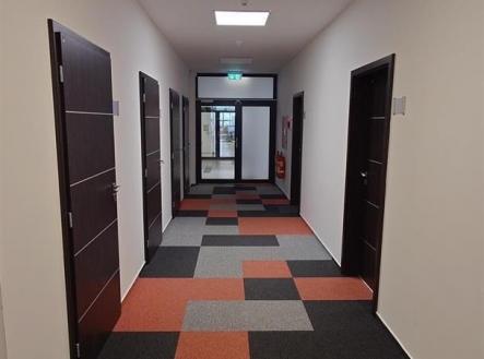 Pronájem kanceláře, 17 m²