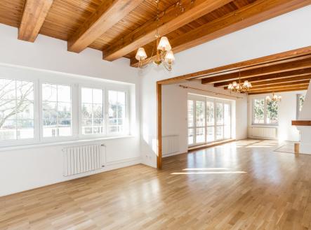Pronájem domu/vily, 350 m²