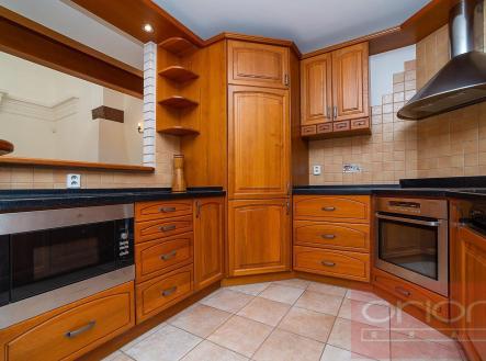 Pronájem domu/vily, 250 m²