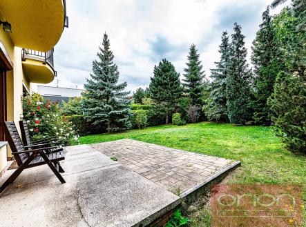 Pronájem domu/vily, 316 m²