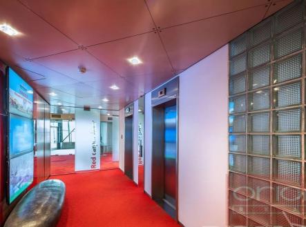 Pronájem kanceláře, 30 m²