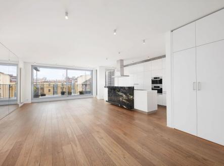 Pronájem bytu, 4+kk, 261 m²