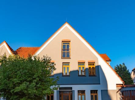 Pronájem domu/vily, 250 m²