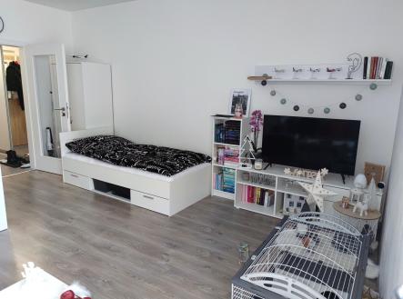 Pronájem bytu, 1+kk, 36 m²