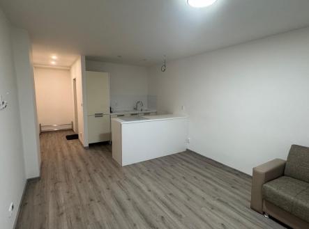 Pronájem bytu, 3+kk, 49 m²