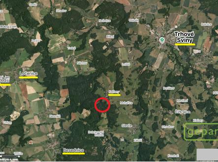 Prodej - pozemek, les, 8 599 m²